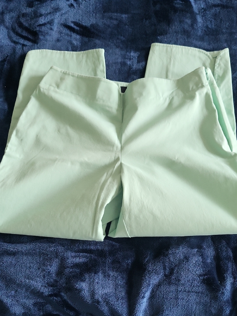 Talbots Mint Green Petites Trousers